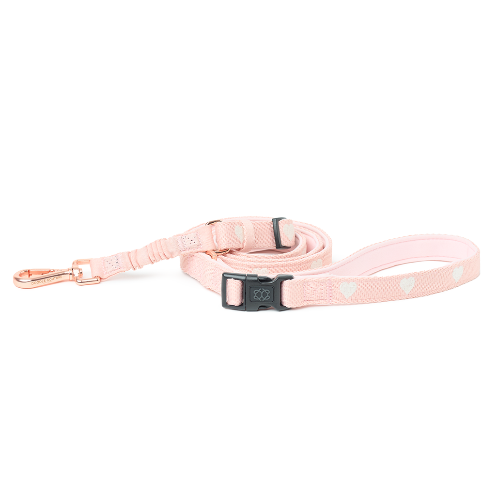 3-in-1 Adjustable Bungee Dog Leash - Sweetheart