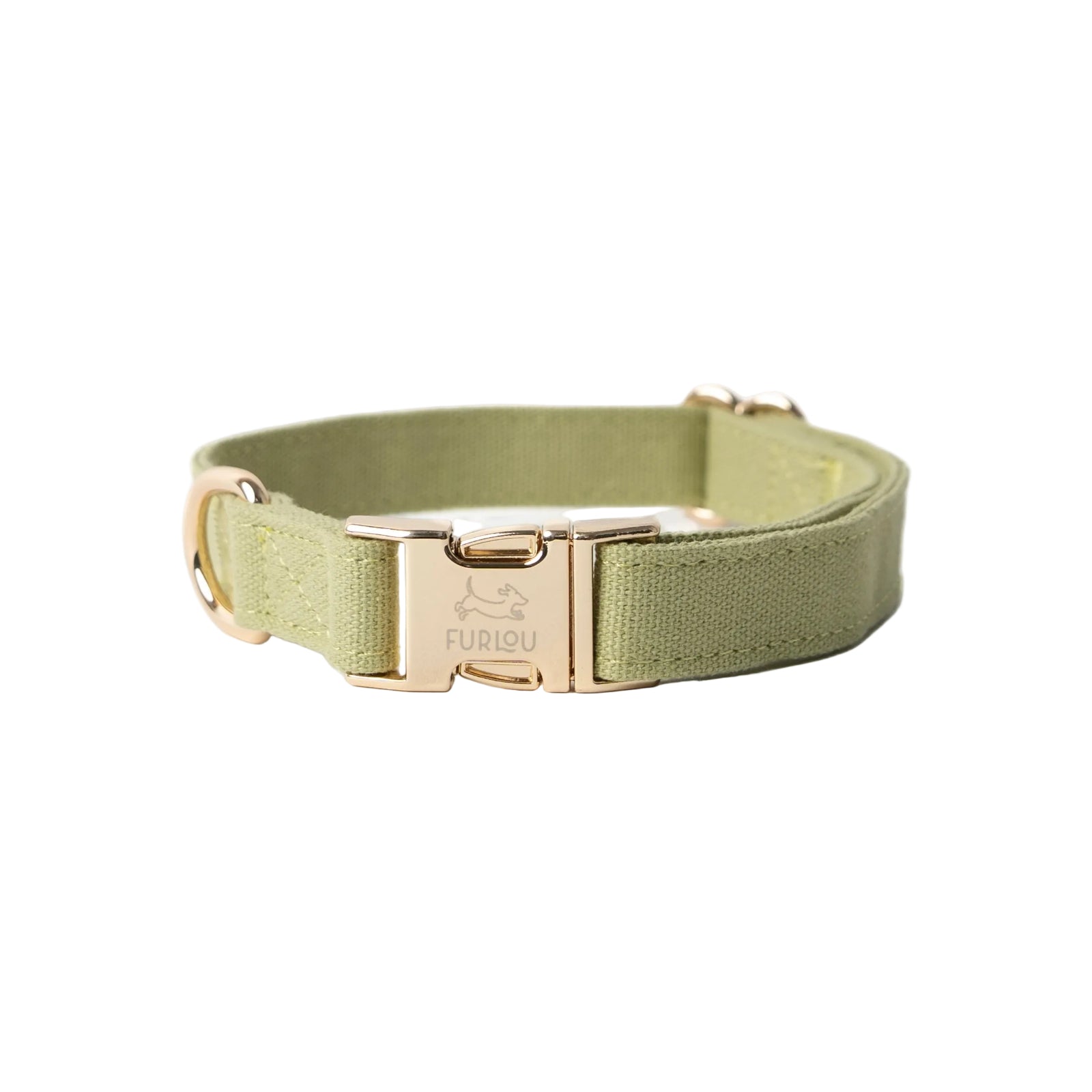 Green Canvas Dog Collar with Brass Hardware