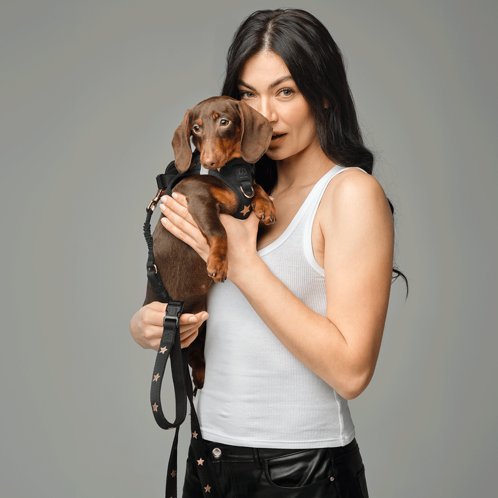 3-in-1 Adjustable Bungee Dog Leash – Rockstar