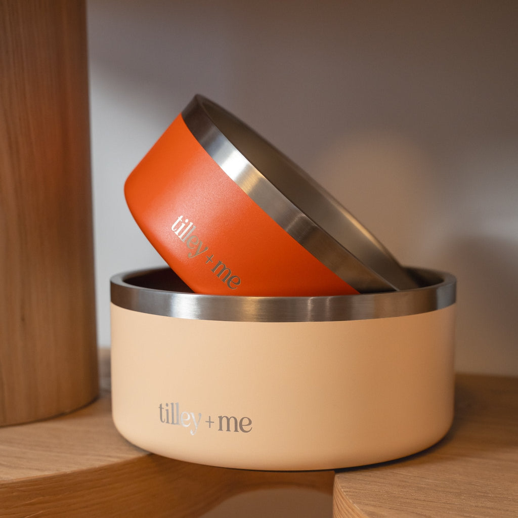 Tilley + Me Stainless Steel Pet Bowl – Non-Slip & Dishwasher Safe