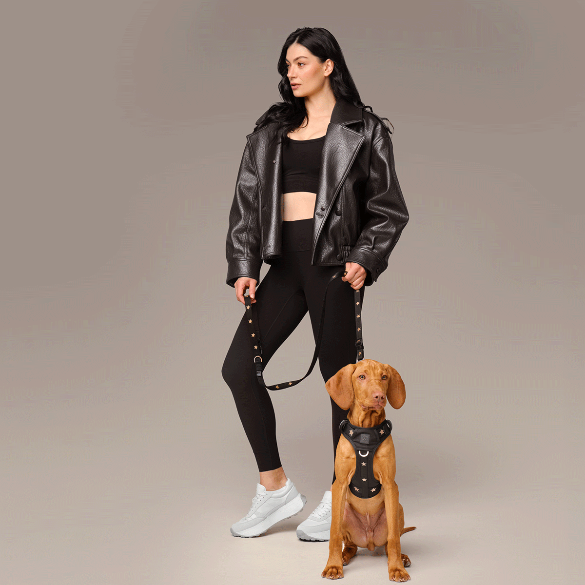 NoMad Adjustable Luxe Dog Harness - Rockstar