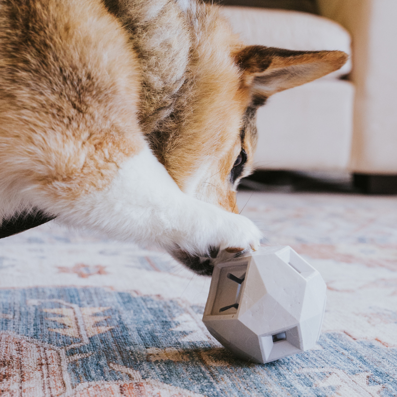 Odin Treat Dispensing Dog Toy