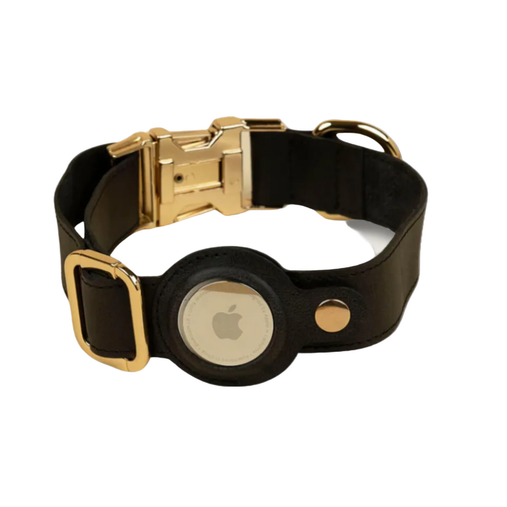 Black dog collar with gold hardware featuring an Apple logo on a beige background