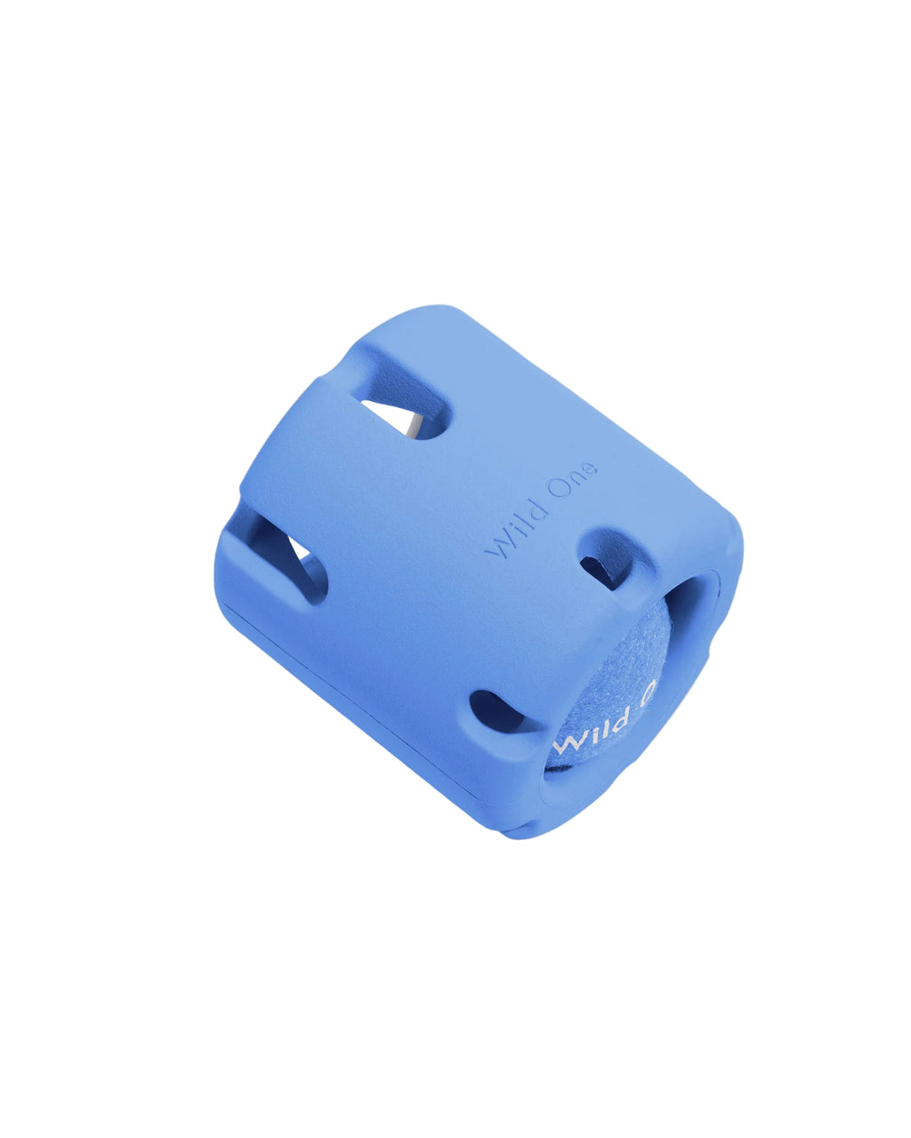 Blue dog training device with 'Wild One' branding on a light gray background