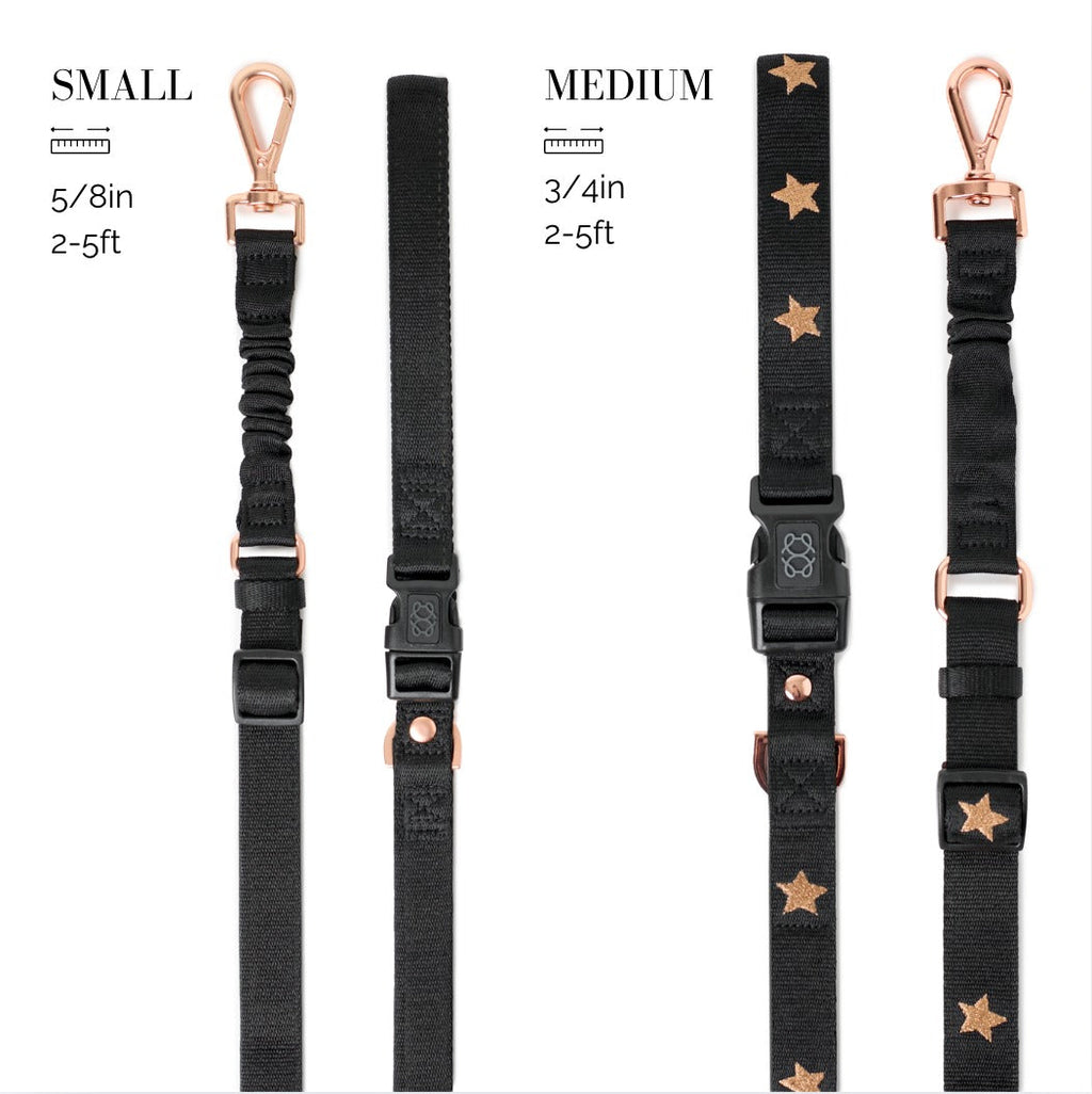 3-in-1 Adjustable Bungee Dog Leash – Rockstar