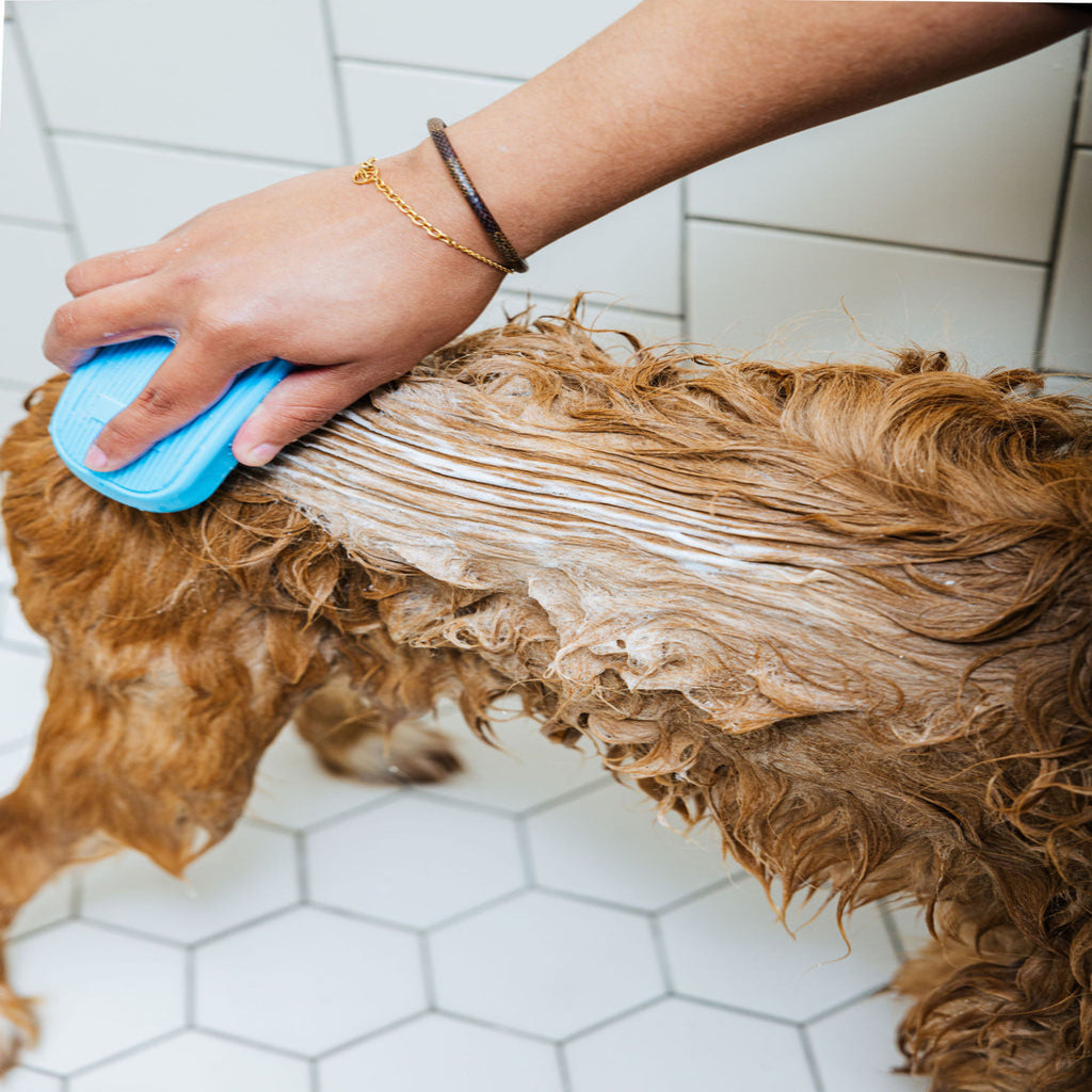 Spaw Day Dog Shampoo & Conditioner Duo