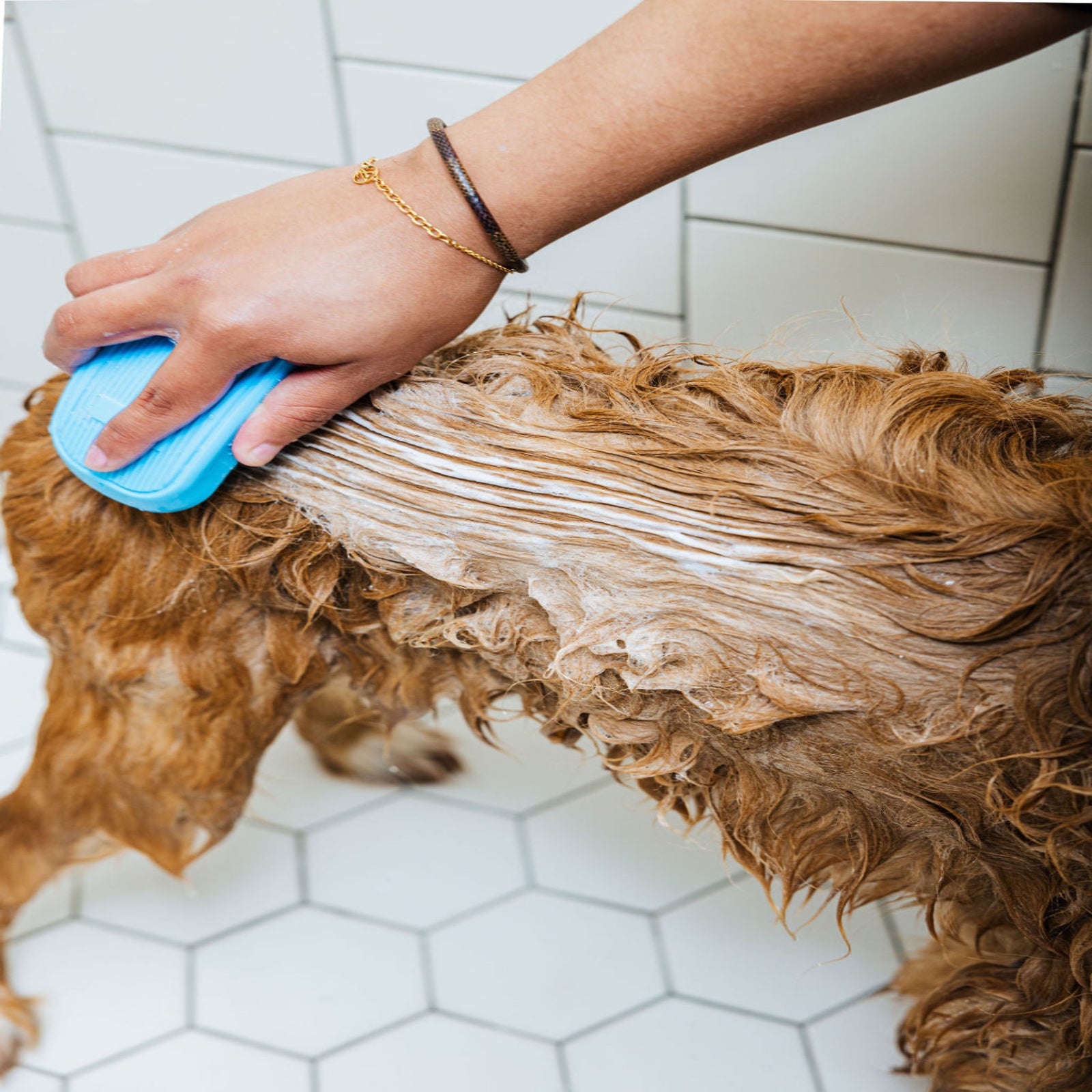 Spaw Day Dog Shampoo & Conditioner Duo