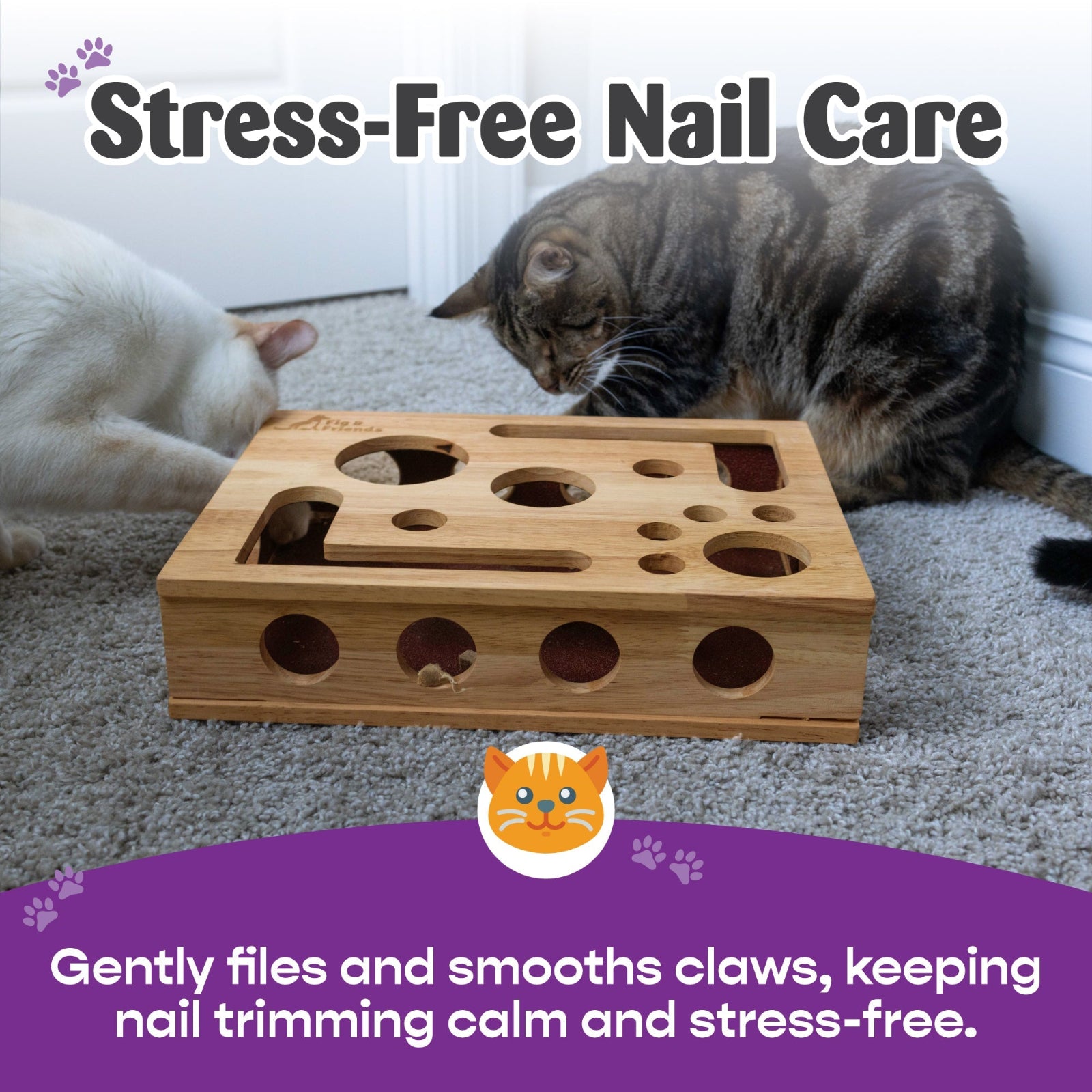 The Original Cat Nail File Enrichment Box – Scratcher & Puzzle for Cats