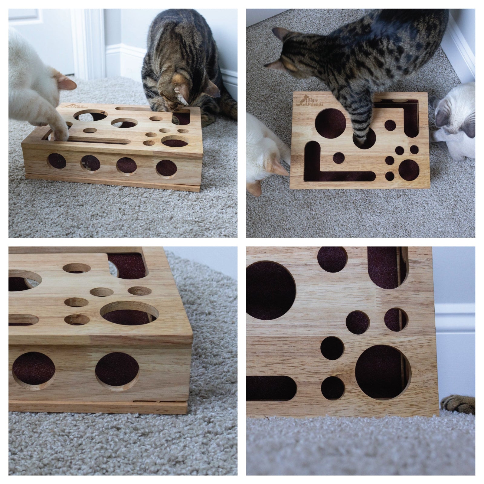 The Original Cat Nail File Enrichment Box – Scratcher & Puzzle for Cats