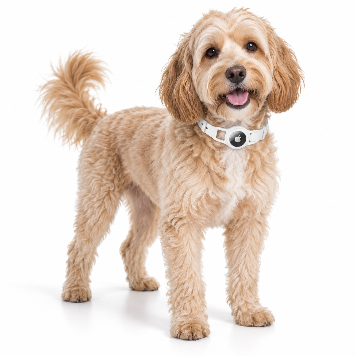 Sahara Silicone AirTag Dog Collar – White