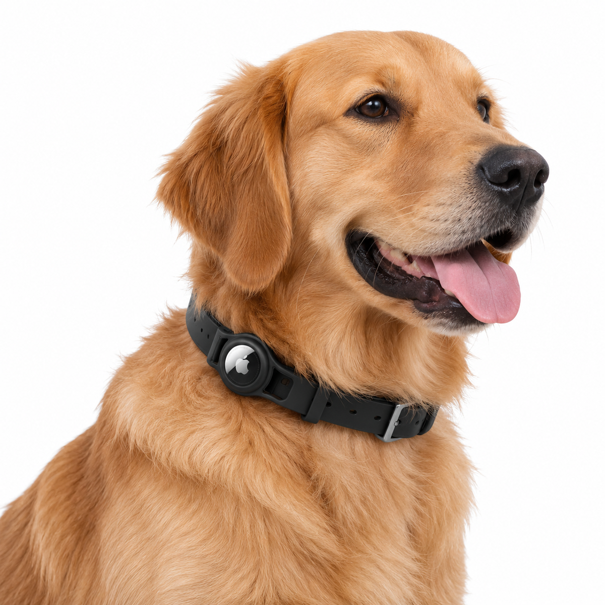 Sahara Silicone AirTag Dog Collar – Black