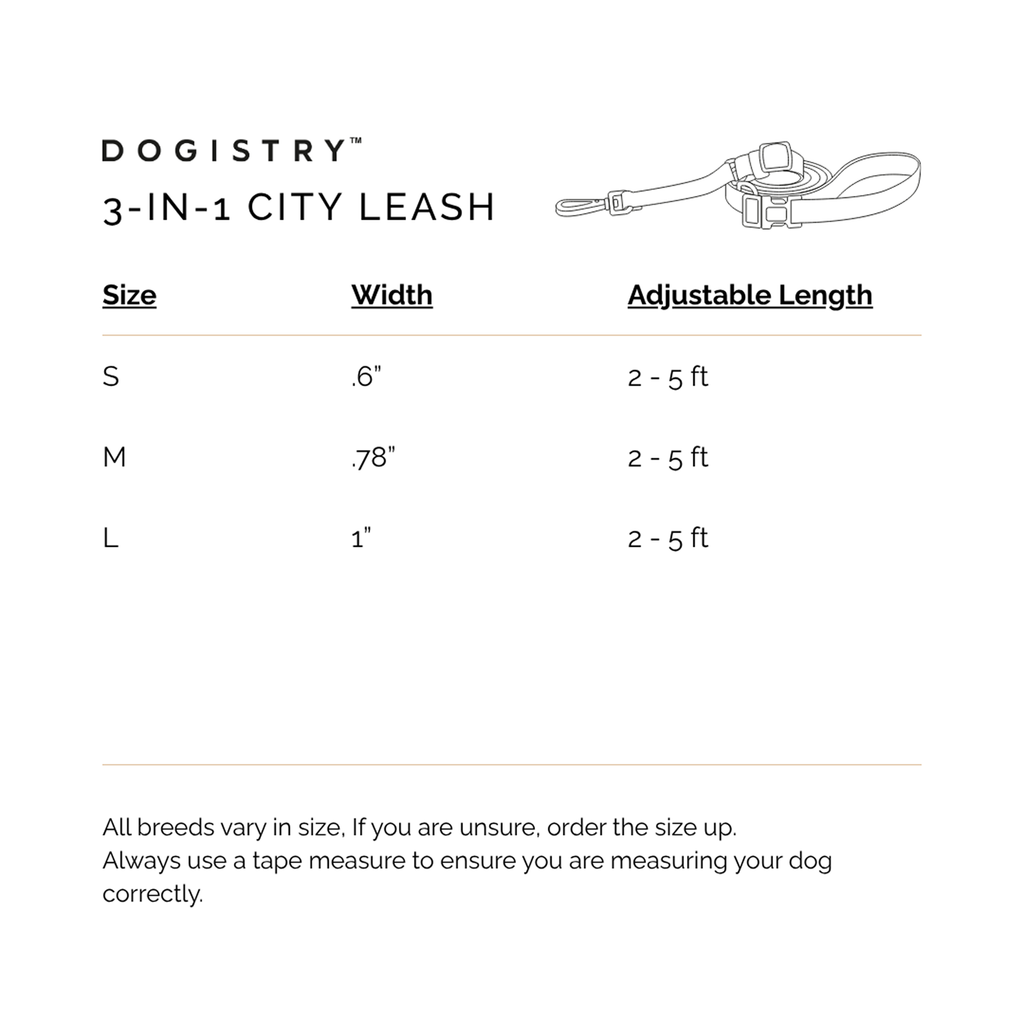 3-in-1 Adjustable Bungee Dog Leash - Sweetheart