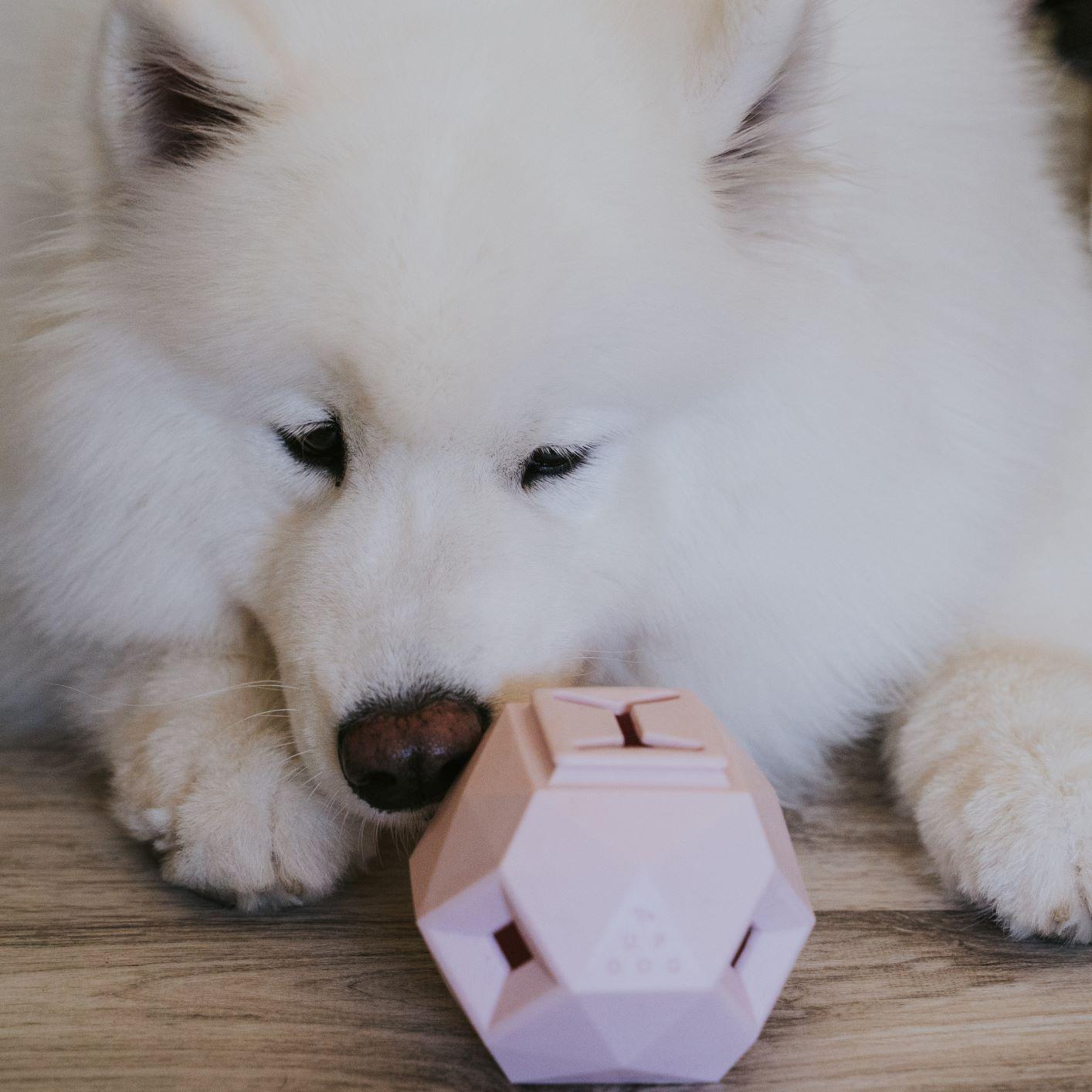 Odin Treat Dispensing Dog Toy