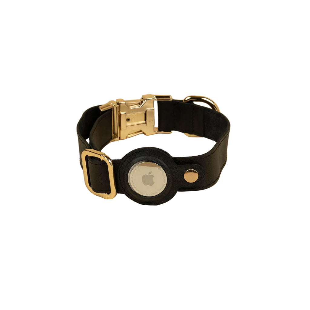 Black dog collar with gold hardware and Apple logo on a beige background