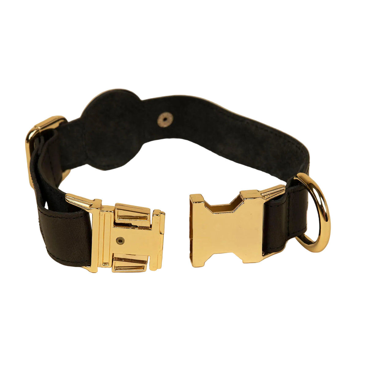 Black dog collar with gold hardware on a beige background