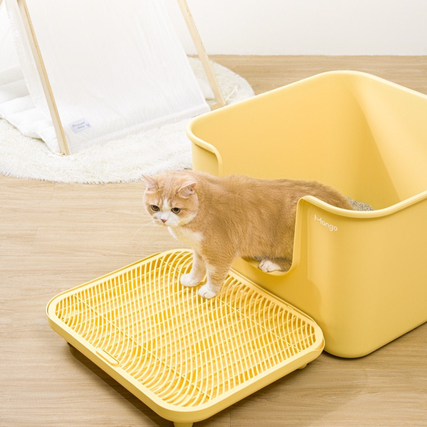 Non-Slip Cat Litter Step Mat