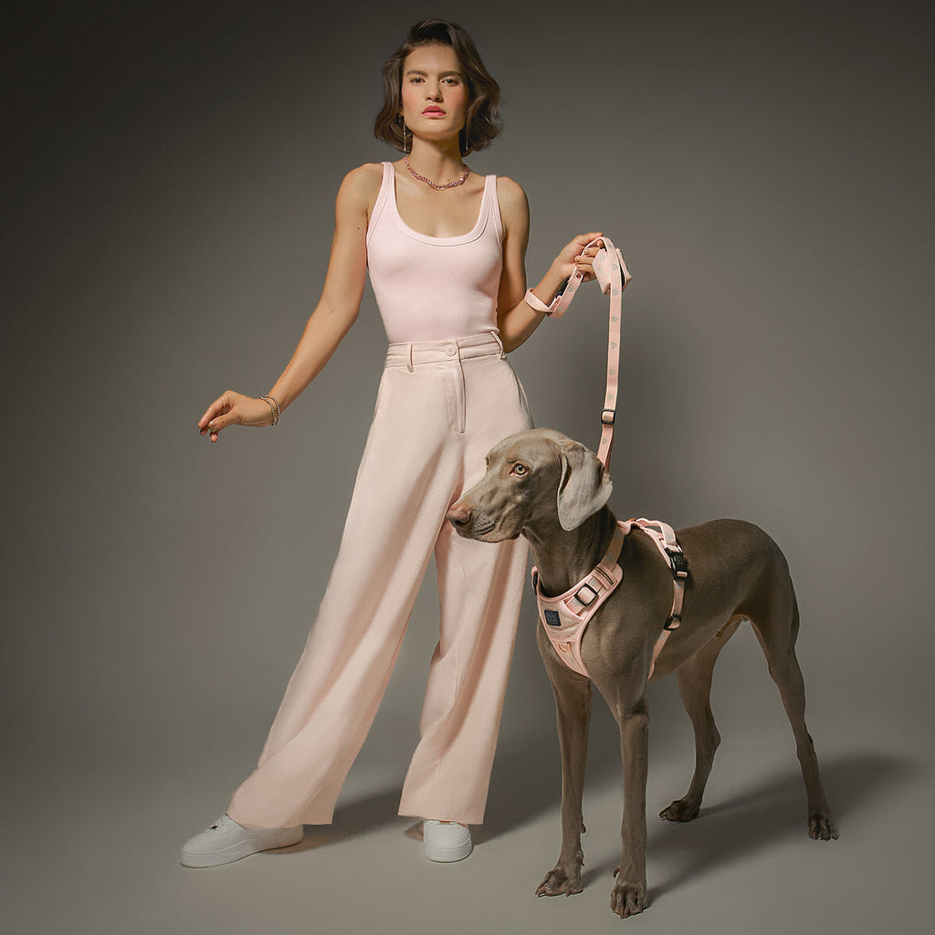NoMad Adjustable Luxe Dog Harness - Sweetheart