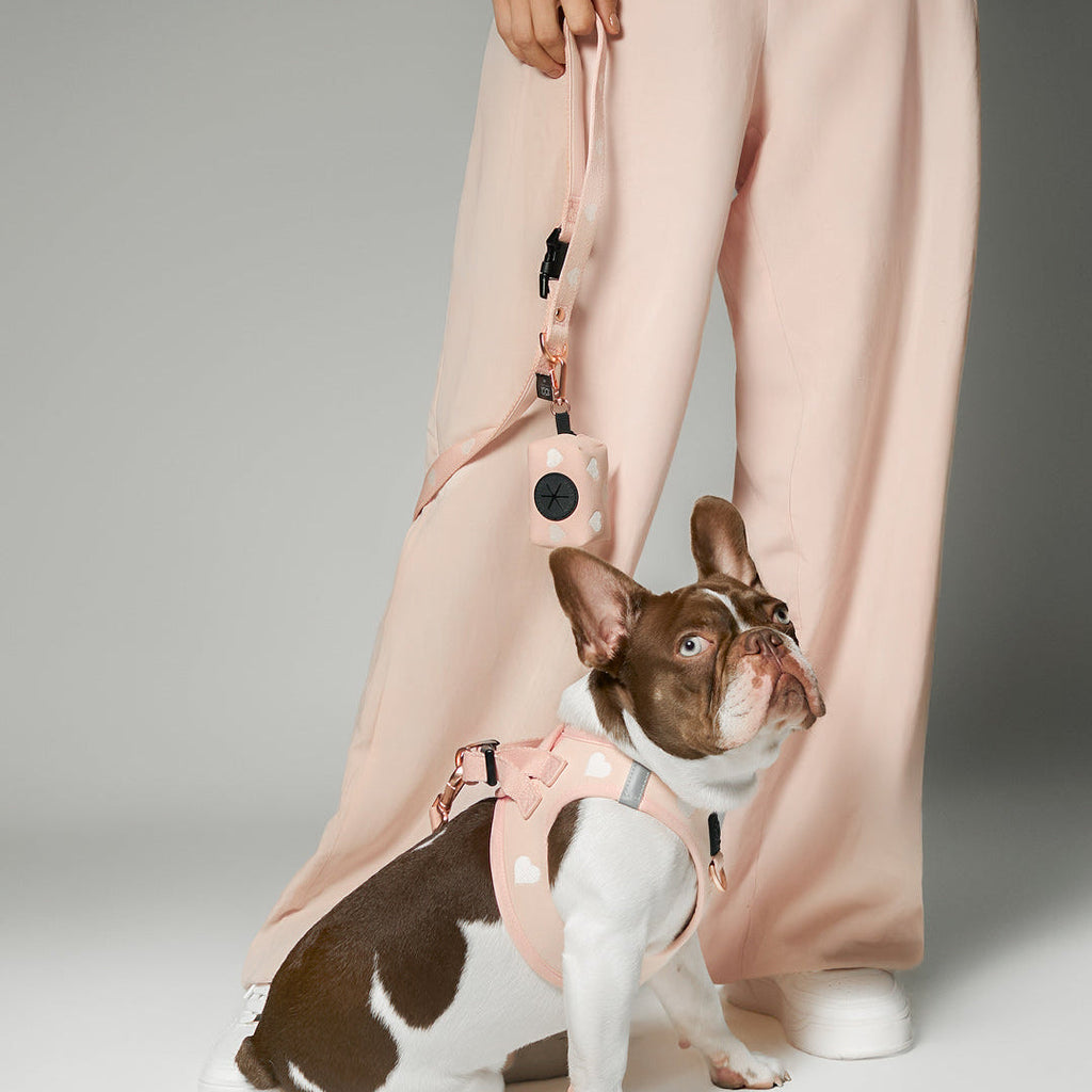 3-in-1 Adjustable Bungee Dog Leash - Sweetheart