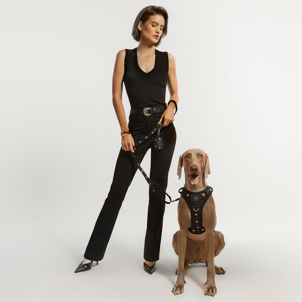 NoMad Adjustable Luxe Dog Harness - Rockstar