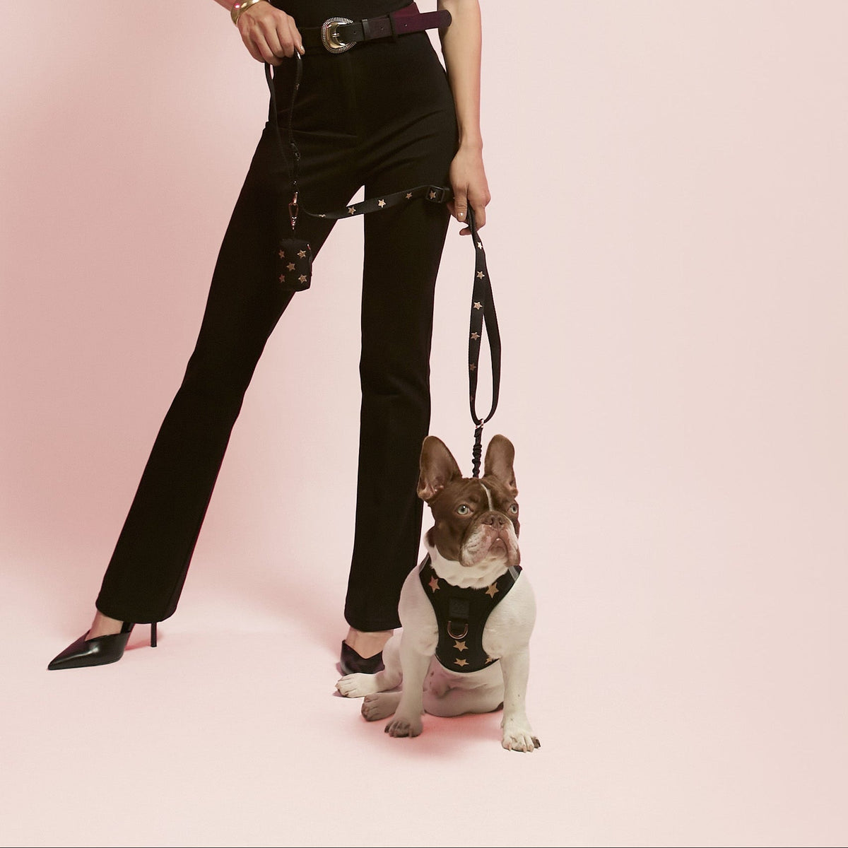 Dog Waste Bag Holder - Rockstar