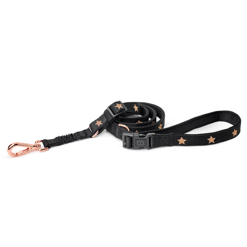 3-in-1 Adjustable Bungee Dog Leash – Rockstar