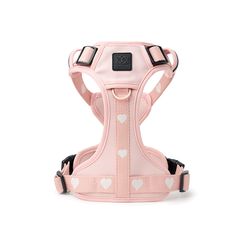 NoMad Adjustable Luxe Dog Harness - Sweetheart