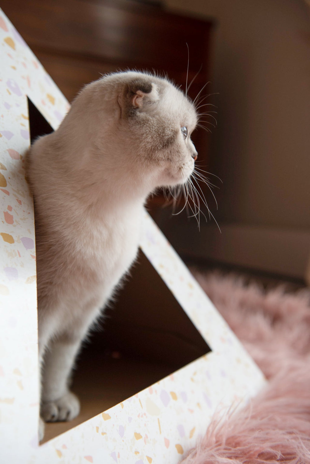 Terrazzo Cardboard Cat Hideaway