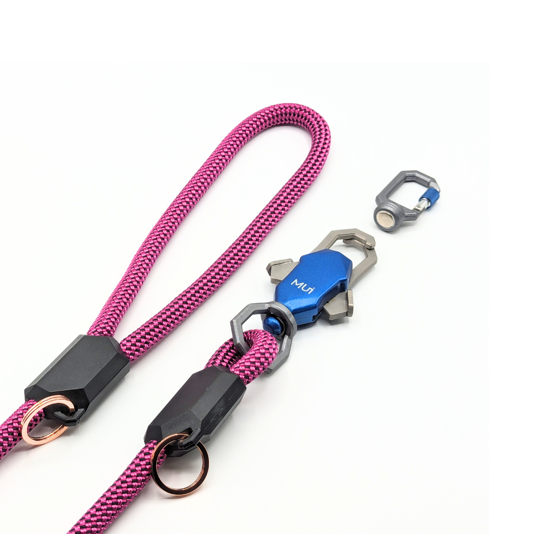 Magnetic One-Hand Dog Leash