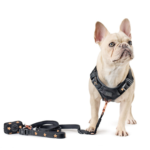3-in-1 Adjustable Bungee Dog Leash – Rockstar