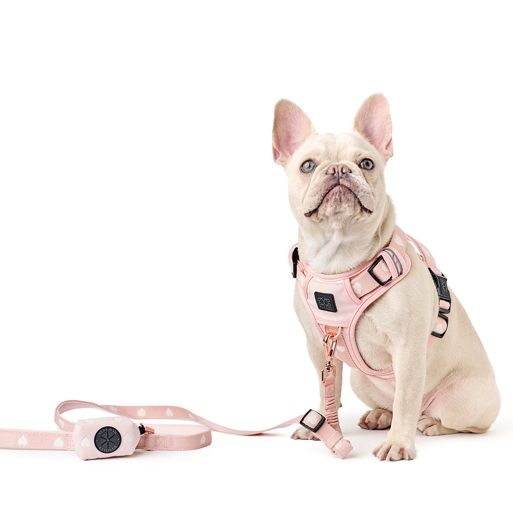 NoMad Adjustable Luxe Dog Harness - Sweetheart