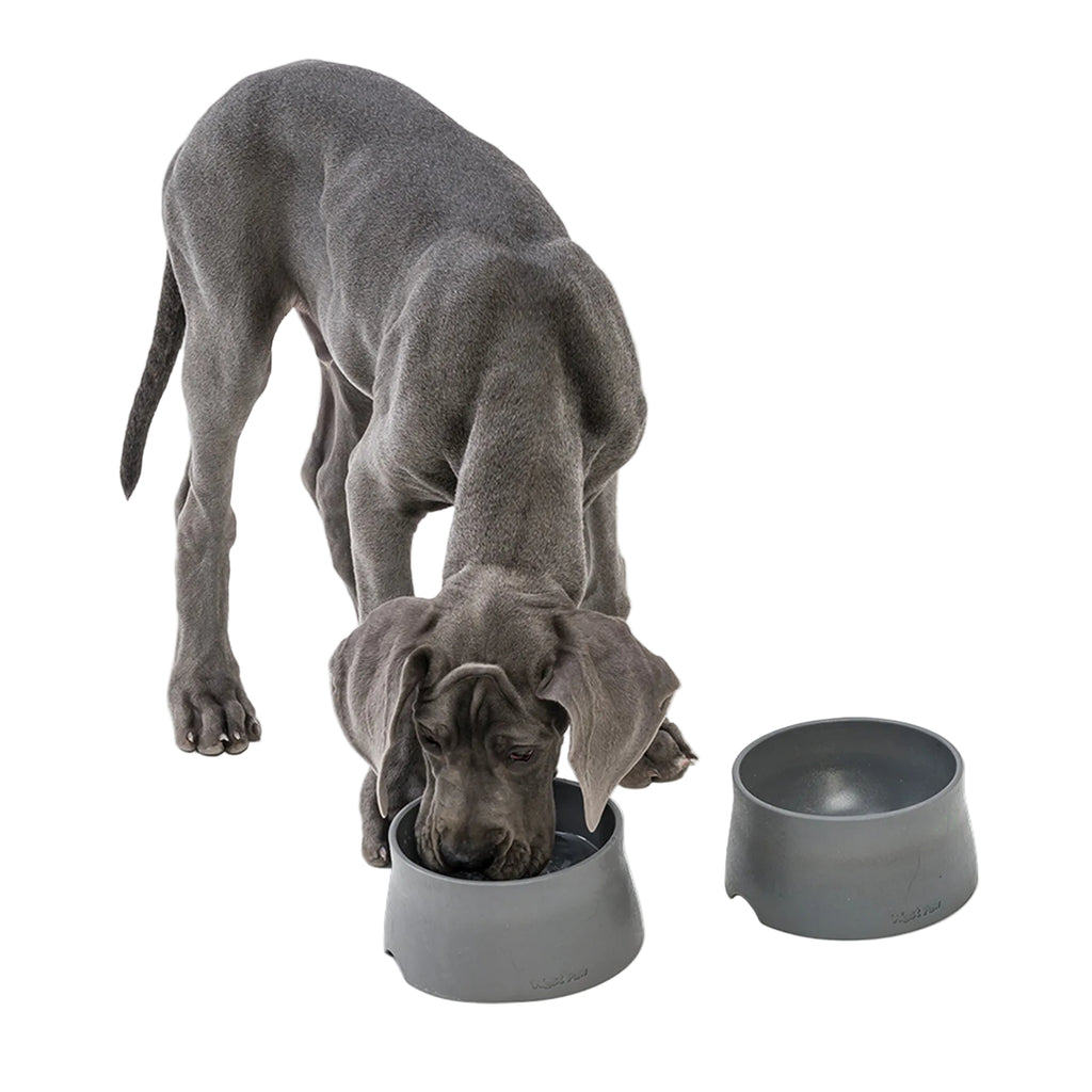 West Paw Non-Slip Pet Bowl