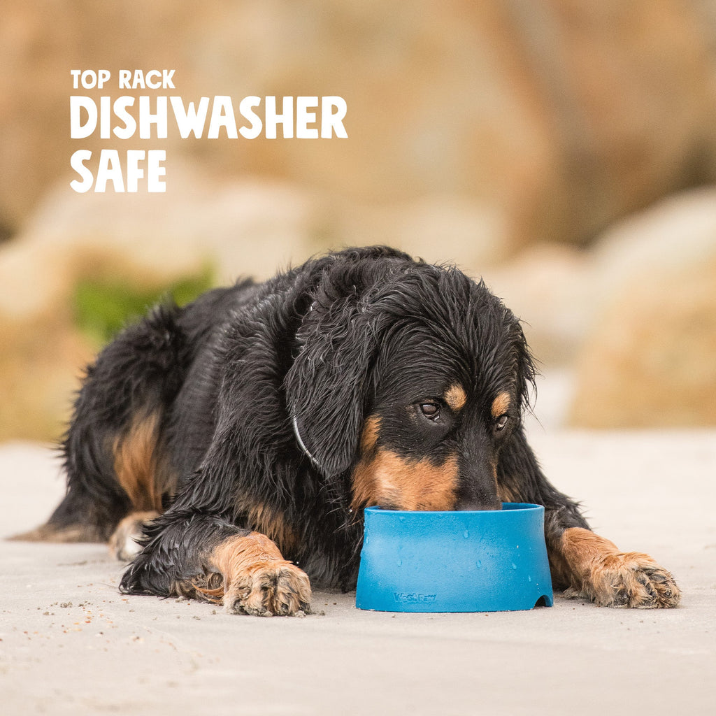 West Paw Non-Slip Pet Bowl