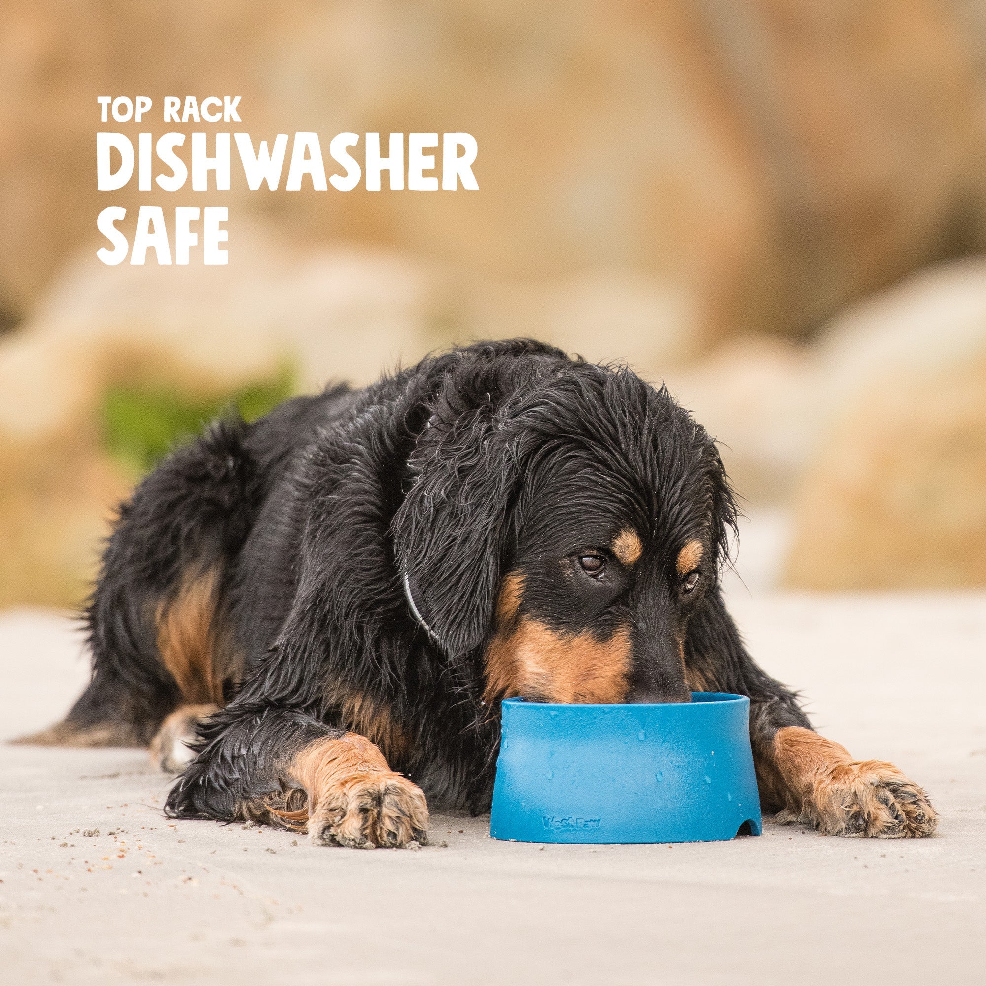 West Paw Non-Slip Pet Bowl