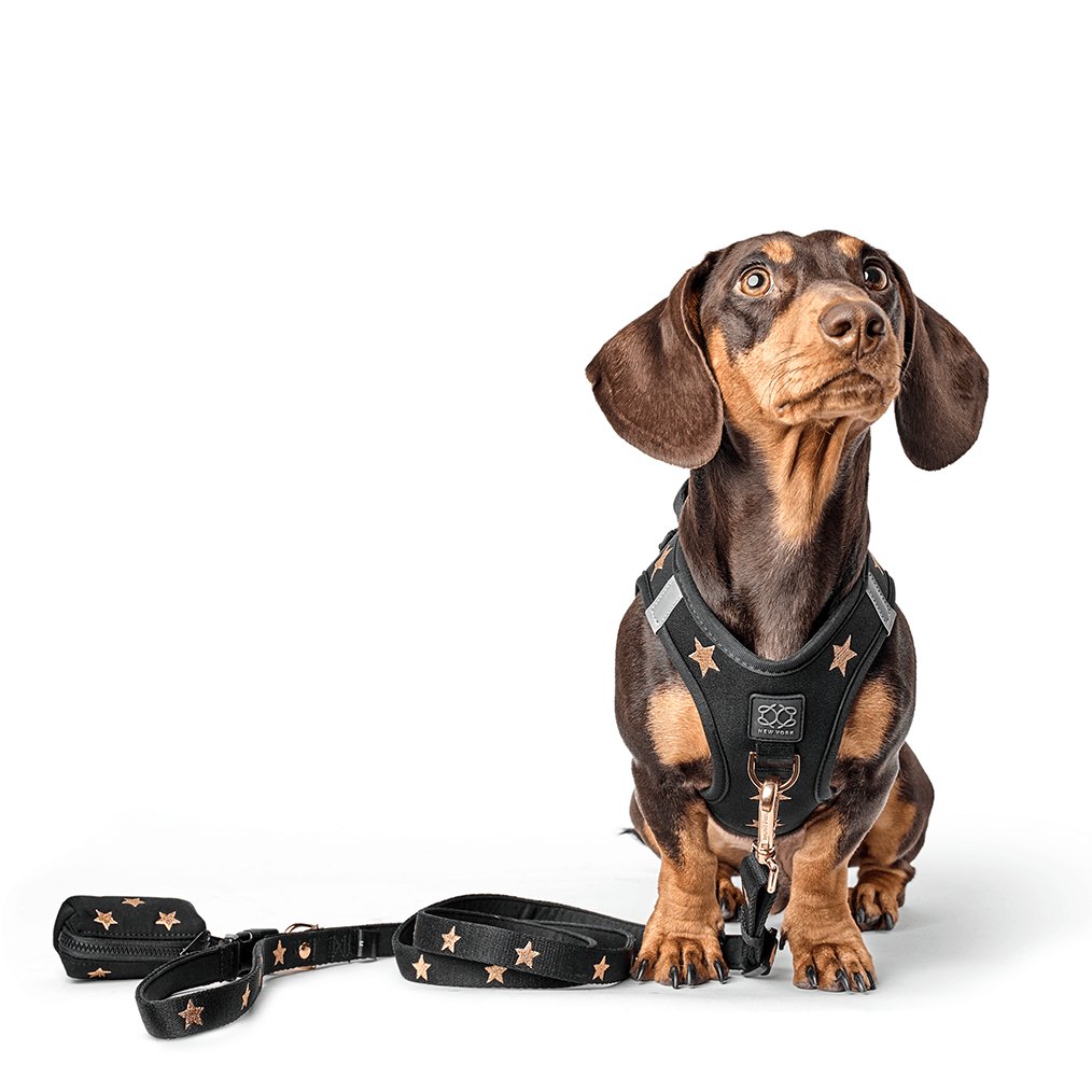 Dog Waste Bag Holder - Rockstar