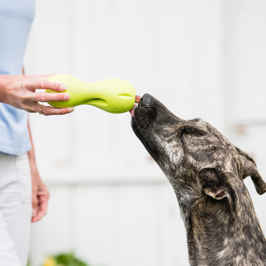 West Paw Qwizl Treat Dispensing Chew Toy