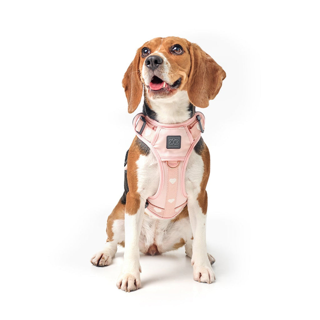NoMad Adjustable Luxe Dog Harness - Sweetheart