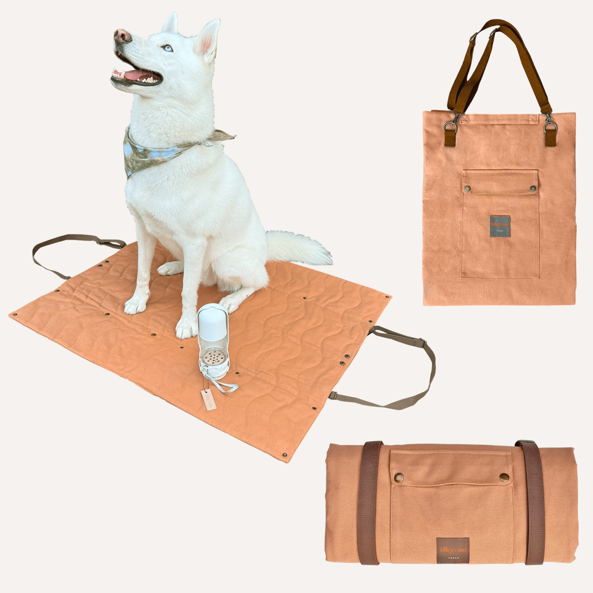 Trekk Convertible Dog Travel Mat & Portable Bed