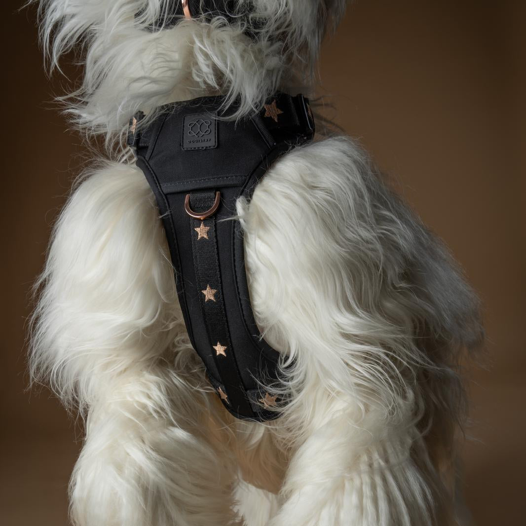NoMad Adjustable Luxe Dog Harness - Rockstar