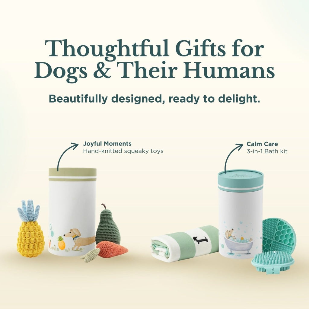 Dog Bath Kit – Grooming Set with Brush, Towel & Lick Mat
