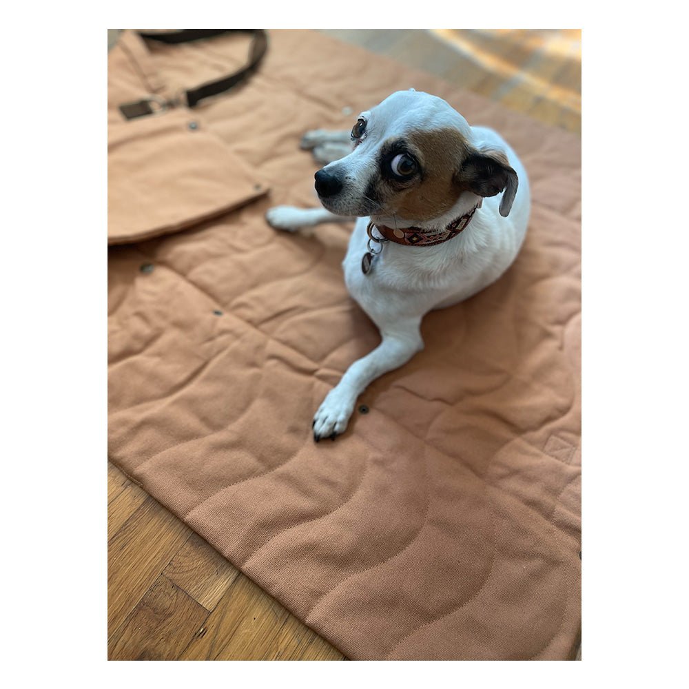 Trekk Convertible Dog Travel Mat & Portable Bed