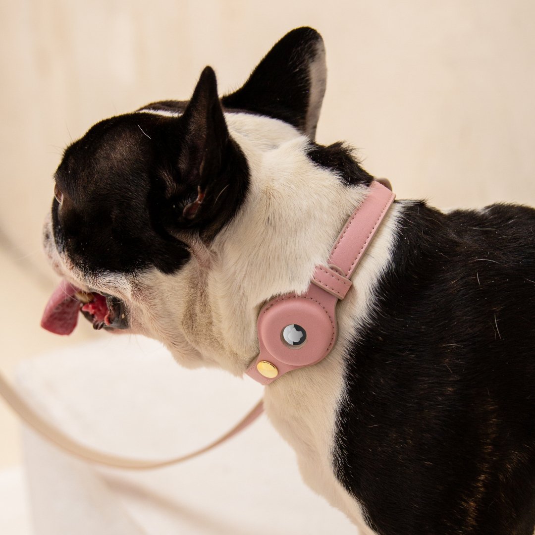 Nina Woof Cupertino Vegan Leather Dog Collar for Apple AirTag