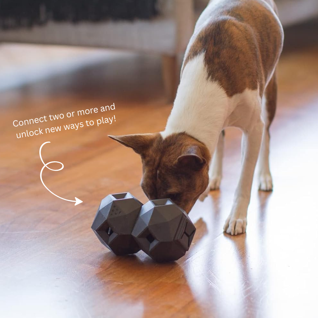 Odin Treat Dispensing Dog Toy