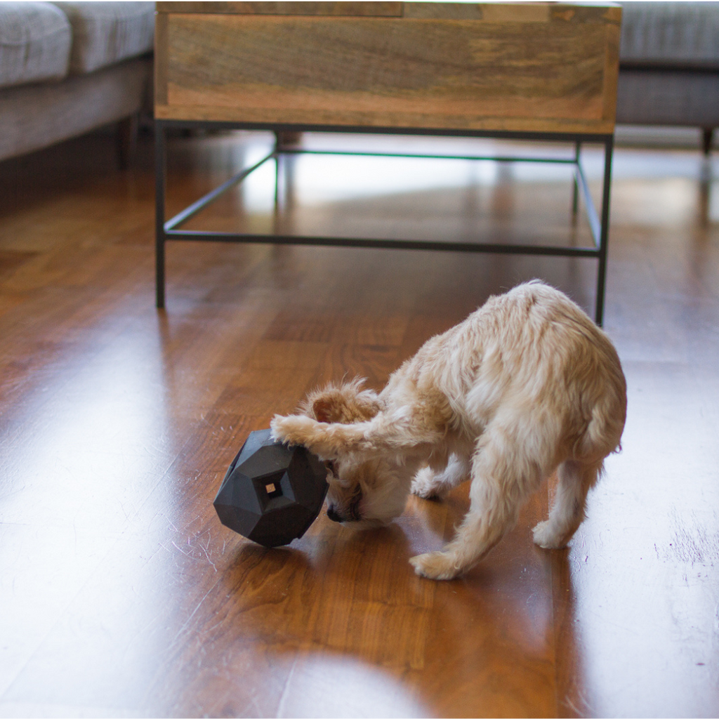 Odin Treat Dispensing Dog Toy