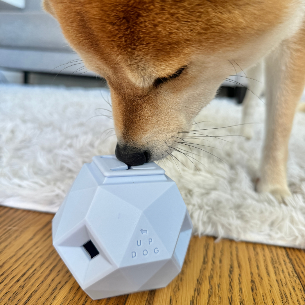 Odin Treat Dispensing Dog Toy