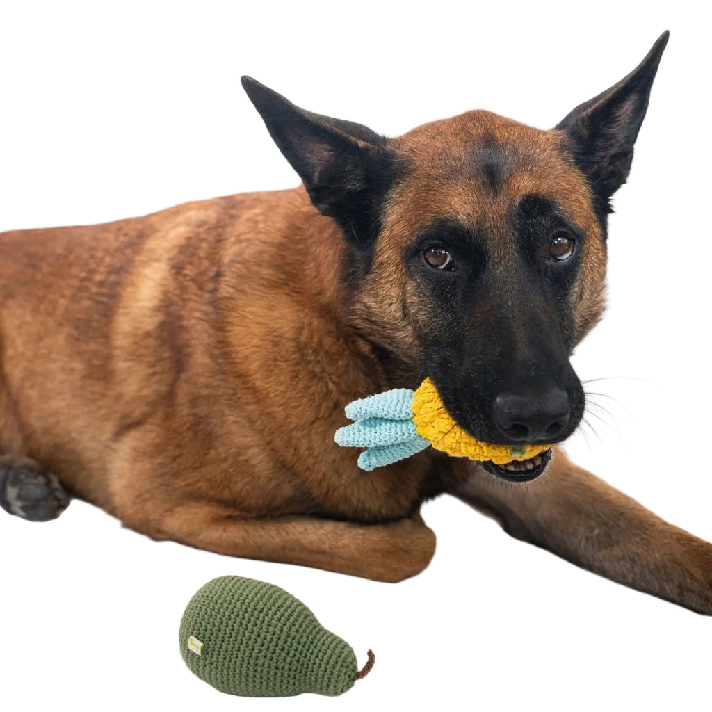 Nina Woof Organic Veggie Toys Bundle