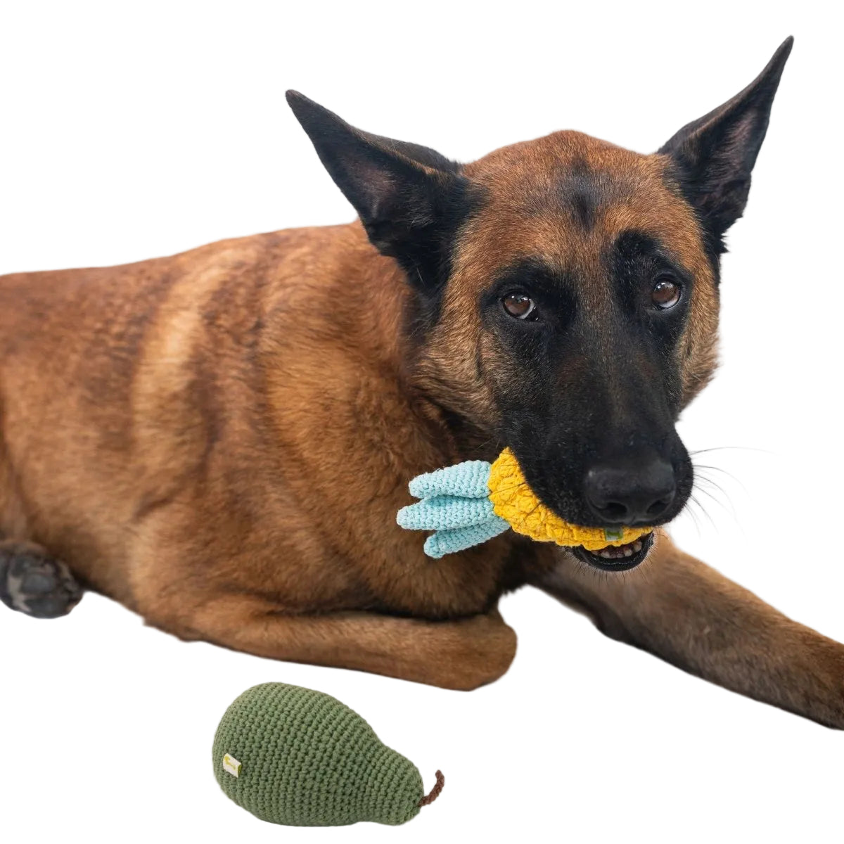 Nina Woof Organic Veggie Toys Bundle
