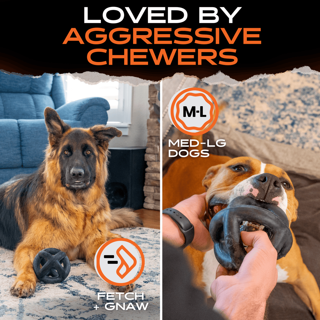 Monster K9 Ring Ball Durable Rubber Dog Chew Toy