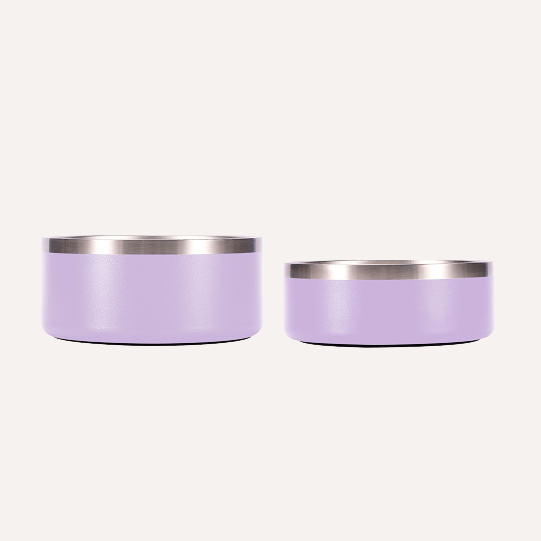 Tilley + Me Stainless Steel Pet Bowl – Non-Slip & Dishwasher Safe