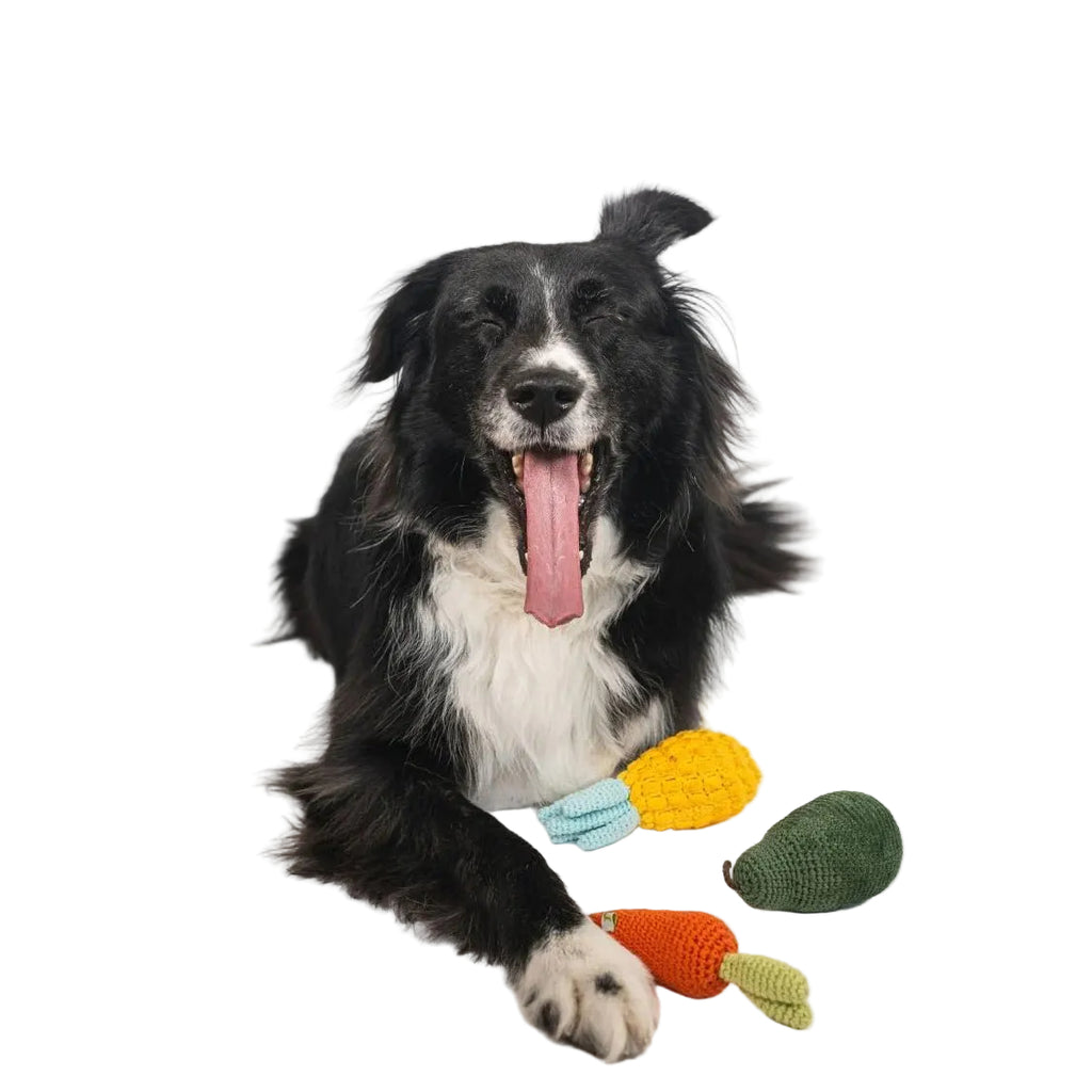 Nina Woof Organic Veggie Toys Bundle